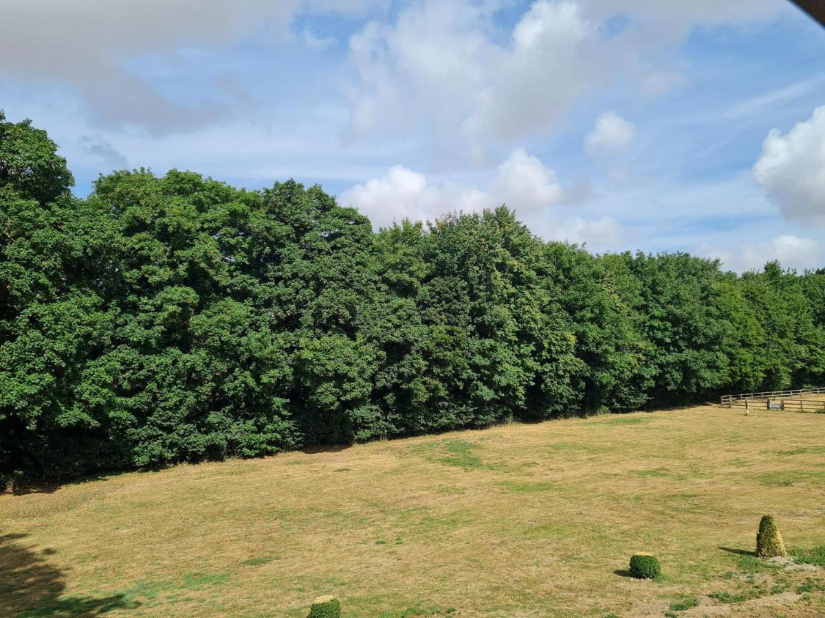 The Farmhouse - Linton Horseheath ภายนอก รูปภาพ